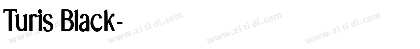 Turis Black字体转换
